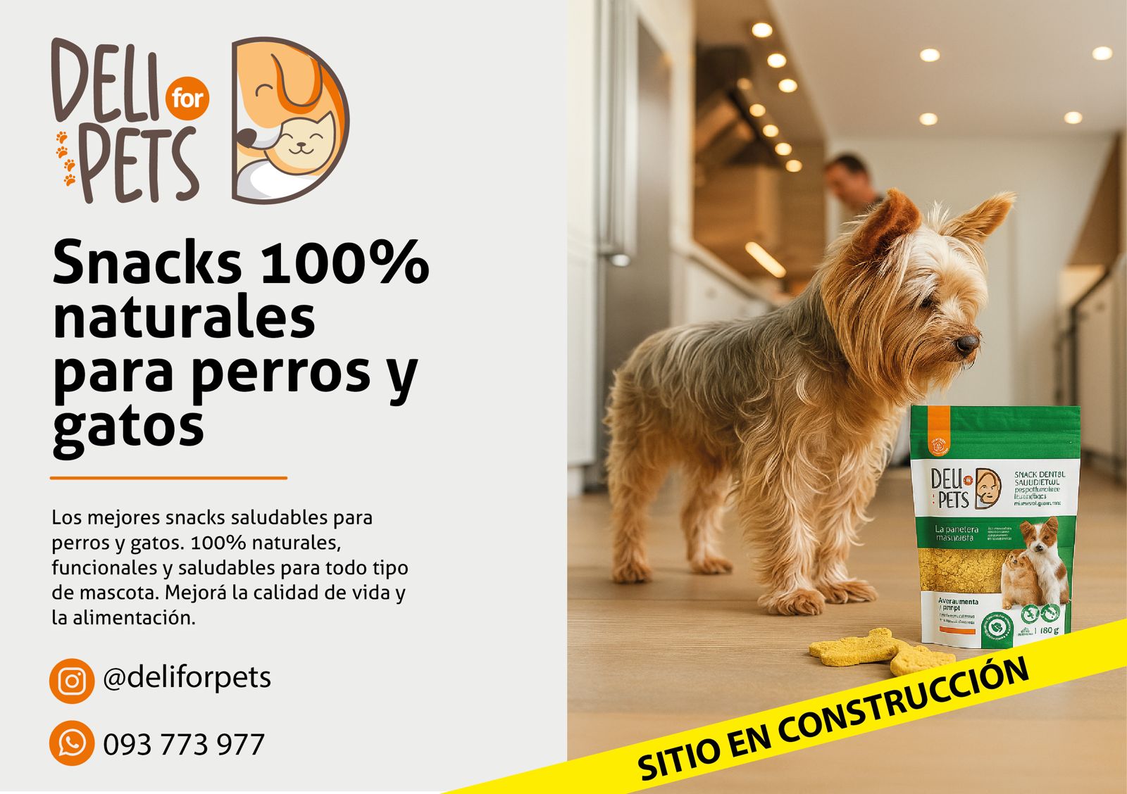 Deliforpets - En construcción